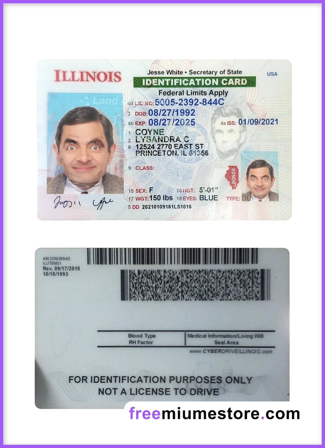 Minnesota ID Card PSD Template Download